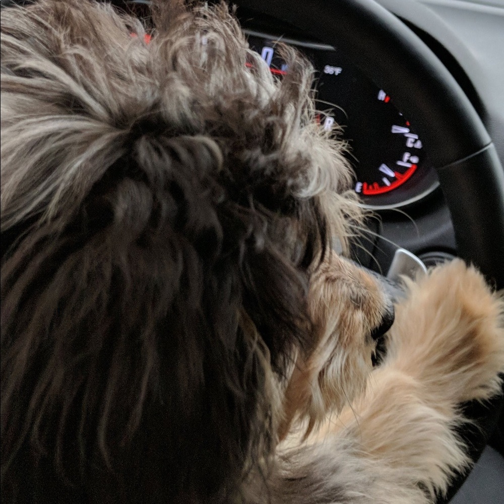 Meet your Posher, Diquan